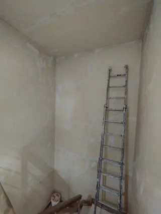 pintor profesional