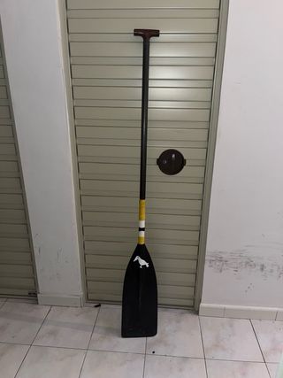 Piragüismo - Pala carbono Polledo canoa