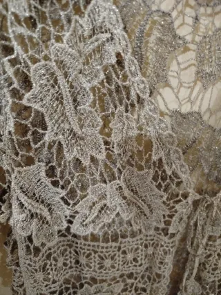 Jersey encaje dorado transparente