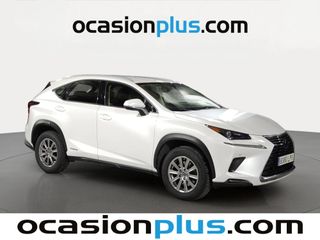 Lexus NX 300h Business 2WD 145 kW (197 CV)