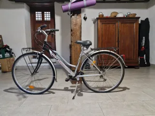 Bicicleta de paseo