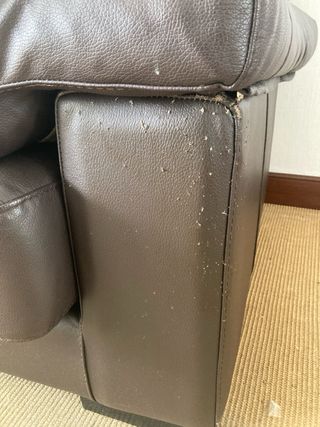 Sofá de piel marrón