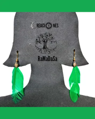 Pendientes de plumas largos