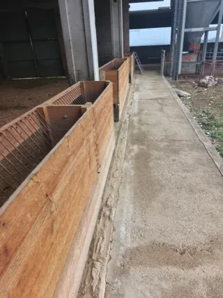 Lote material cebadero corderos