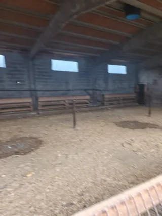 Lote material cebadero corderos