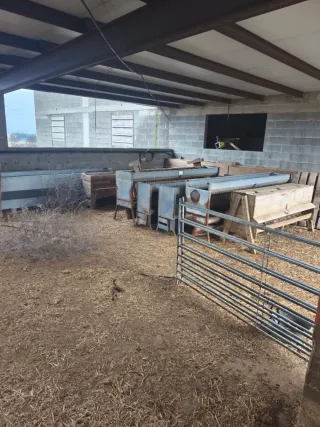 Lote material cebadero corderos