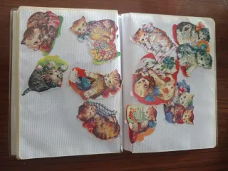 Cromos La Palma Colección Niños Flores