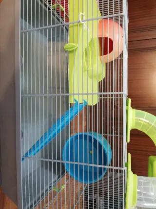 Casita amplia hámster