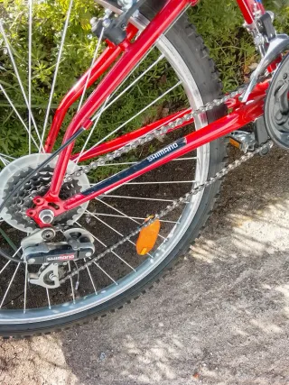Bicicleta de Montaña Roja y Plateada