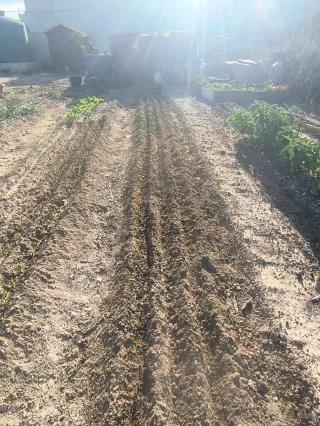 Terreno agrícola