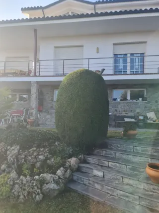 Jardín  todo  tipo de  trabajos  limpieza  parcela