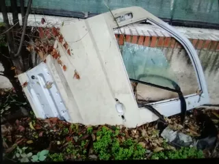 Puerta Delantera VW T5