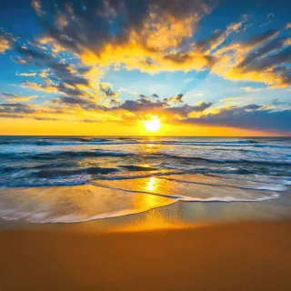 Alquiler habitación cerca de la playa.