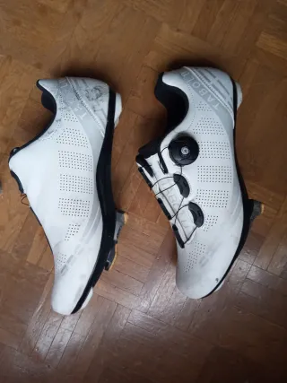 Bicicleta Carretera Focus Talla L 56