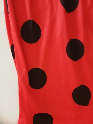 Costume Carnevale Miraculous Ladybug