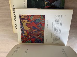 Libros Arte Manet y Derain