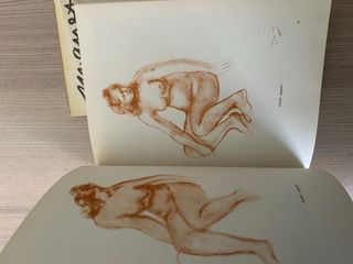 Libros Arte Manet y Derain