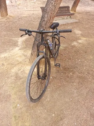 Bici montaña monoplato RALI