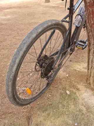 Bici montaña monoplato RALI