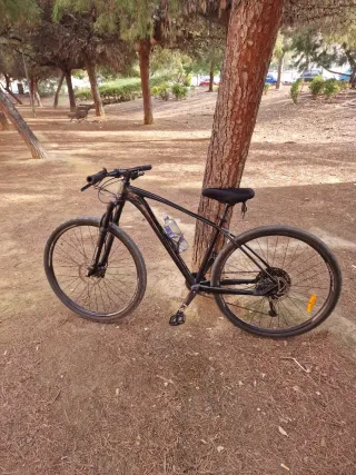 Bici montaña monoplato RALI