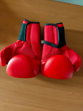 Guantes de boxeo Outshock 10 oz