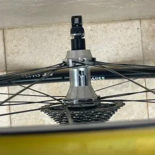 Coppia Ruote DT Swiss R23 Spline