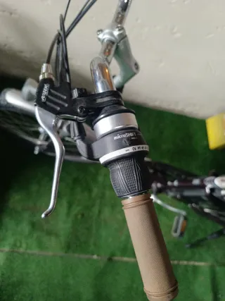 Bicicleta Eléctrica Monty