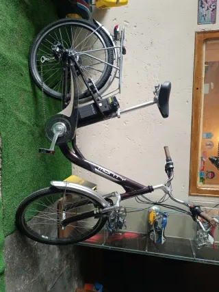 Bicicleta Eléctrica Monty
