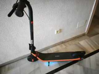 Dos unidades Patinete Segway Ninebot C2