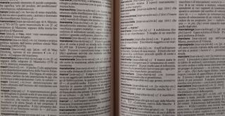 Diccionario italiano