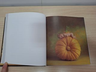 Libro Anne Geddes. Until Now Journal. NUEVO