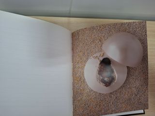 Libro Anne Geddes. Until Now Journal. NUEVO