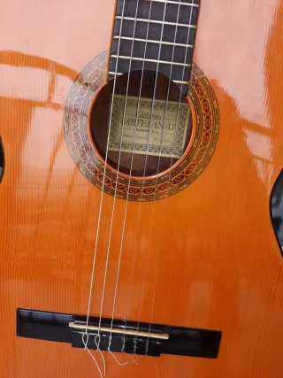 Guitarra Azahar TIMOE
