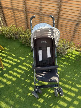 Silla Paseo Asalvo Trotter Plus