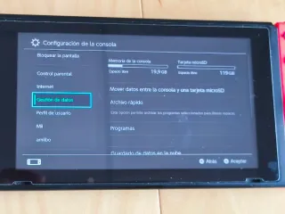 Nintendo Switch + Ring Fit Adventure + accesorios.