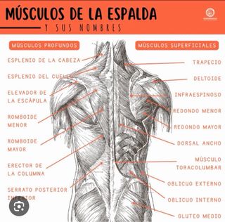 Quiromasaje profesional, masajes relajantes