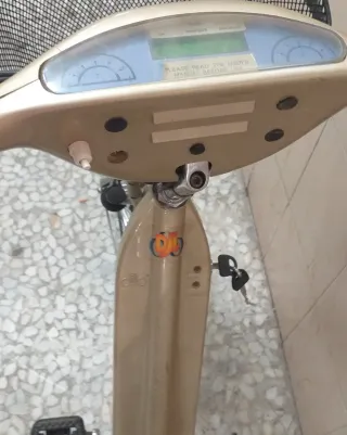 Bicicleta Eléctrica DJL Dorada