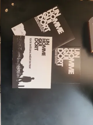 Un homme qui dort DVD