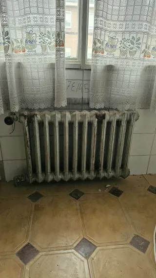 Radiador de hierro fundido (2 columnas)