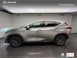 Lexus NX350h EXECUTIVE 2023 REF 6928