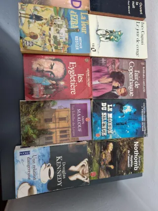 24 french books / 24 libros en francés/ francais