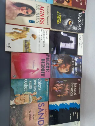 24 french books / 24 libros en francés/ francais