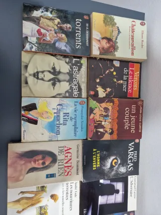 24 french books / 24 libros en francés/ francais