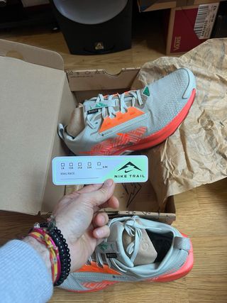 Nike Pegasus Trail 5 GTX Gore-Tex