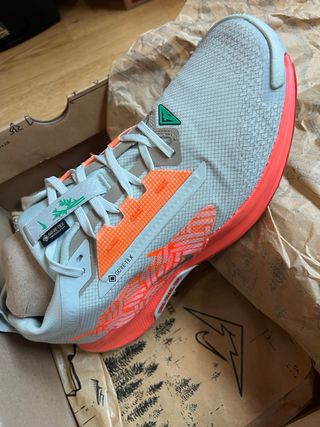 Nike Pegasus Trail 5 GTX Gore-Tex