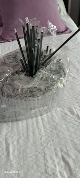 600 Pajitas Negras de Papel/Plástico