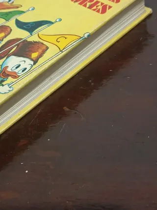 Manual de los jóvenes castores (Spanish Edition)