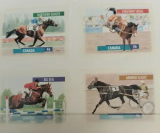 Caballos 41 sellos+ 10 Hojas Bloque MNH