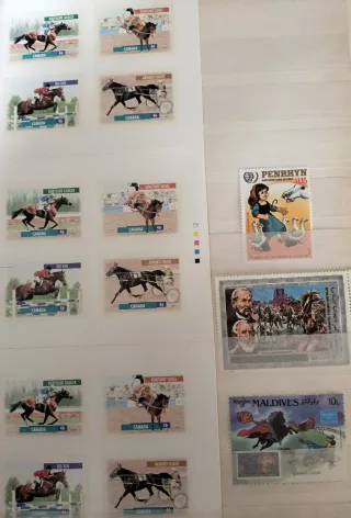 Caballos 41 sellos+ 10 Hojas Bloque MNH