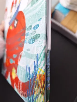 En busca de la isla de los loros